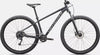 2025 Rockhopper