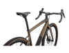 2025 Diverge Expert Carbon (54cm)