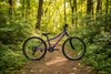 SHOW THIS BICYCLE IN THE WOODS ON A TRAIL
